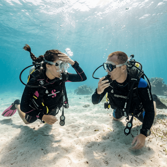 Scuba Skills Update (Refresher)