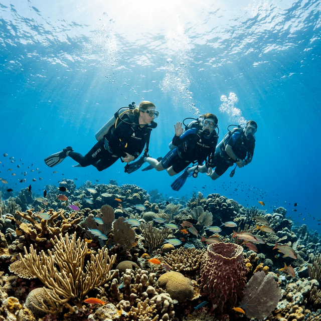 John Bradshaw diving in Puerto Rico