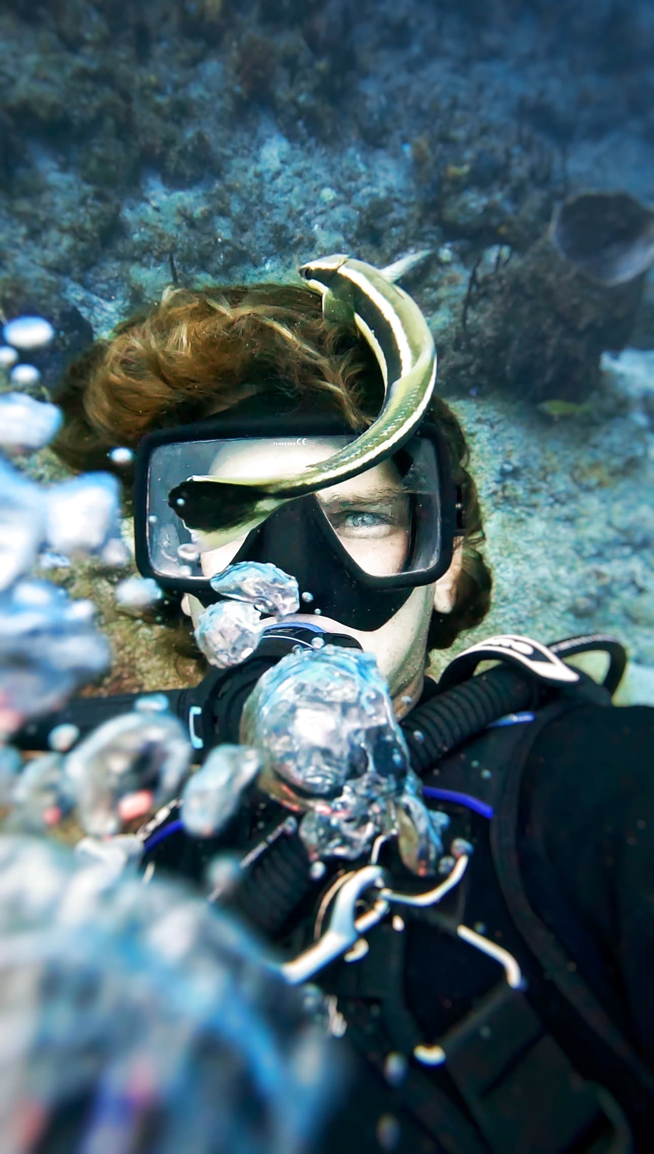 John Bradshaw - SSI Dive Instructor