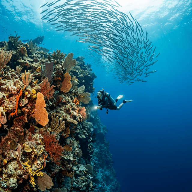 Desecheo Island Expedition