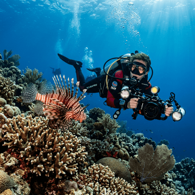 Lionfish Class & Hunt